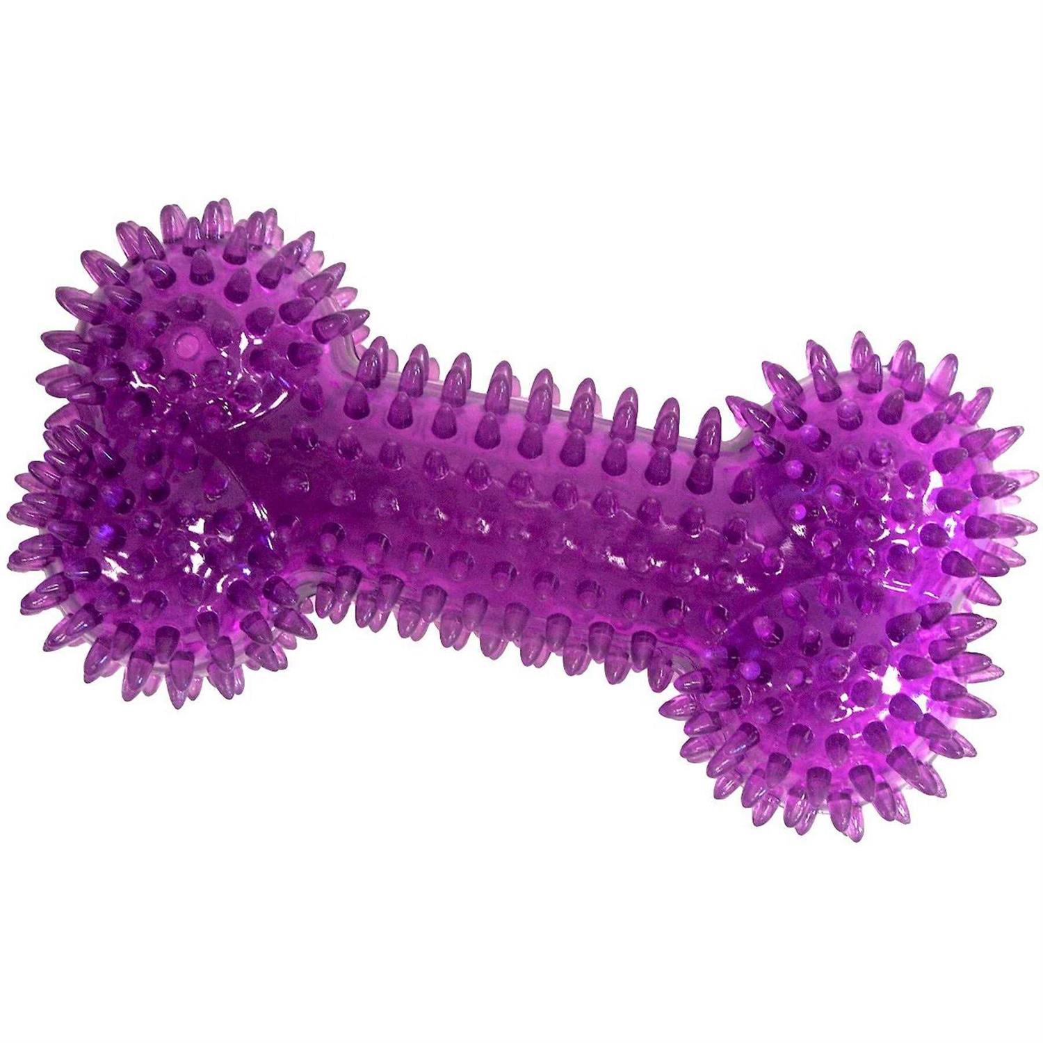 Gnawsome Squeaker Bone Dog Toy