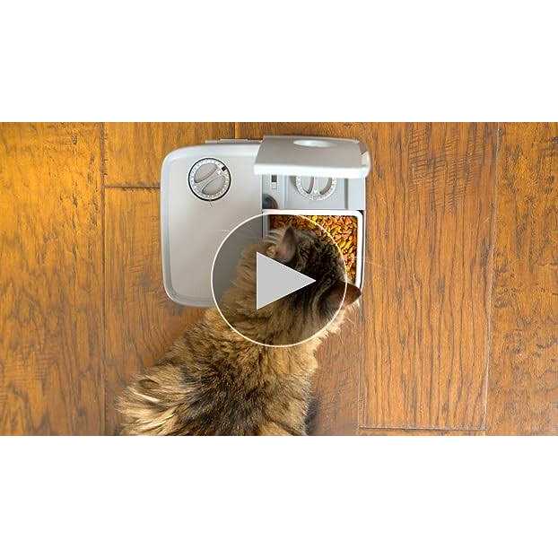 PetSafe Automatic 2 Meal Pet Feeder