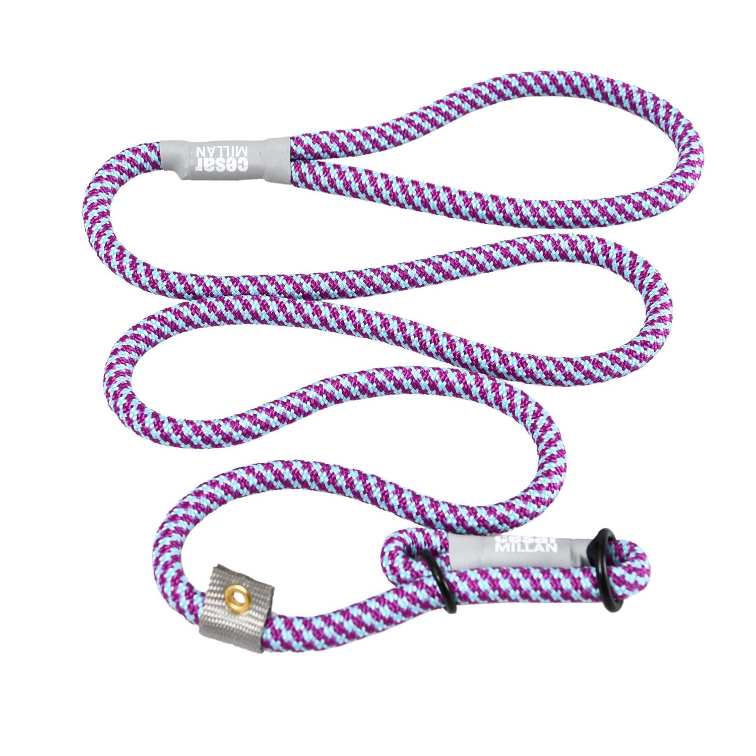 Cesar Millan Slip Lead Leash 2-in-1 Slip Collar Dog Training Lead & Collar