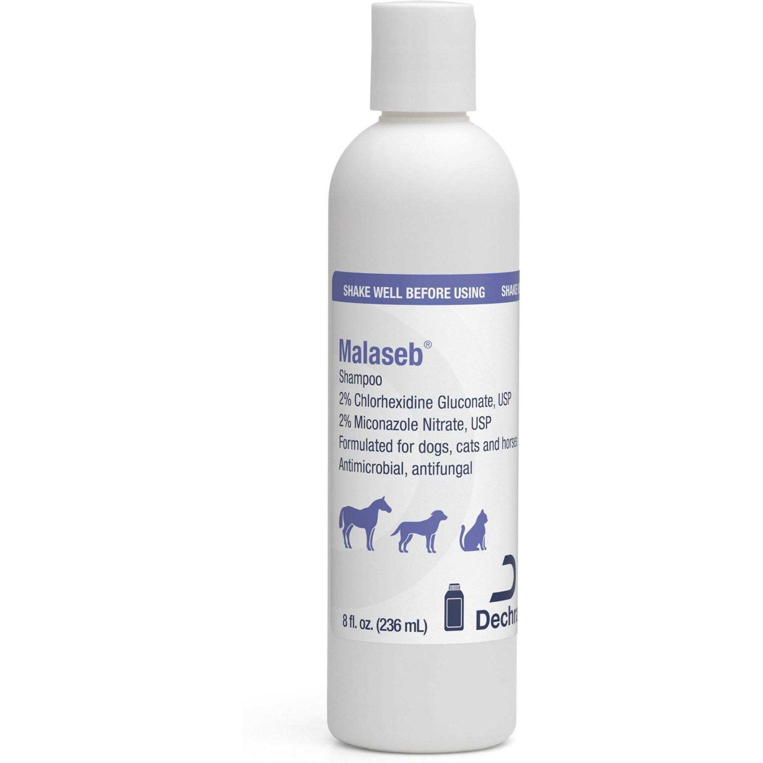 Malaseb Shampoo 8 oz