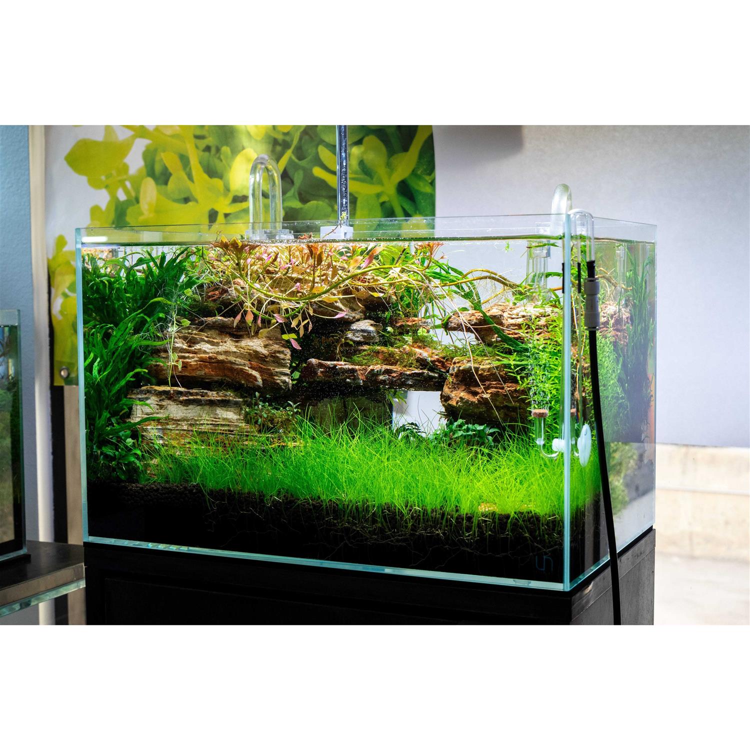 Ultum Nature Systems Rimless Aquarium UNS 45U 9 gallons