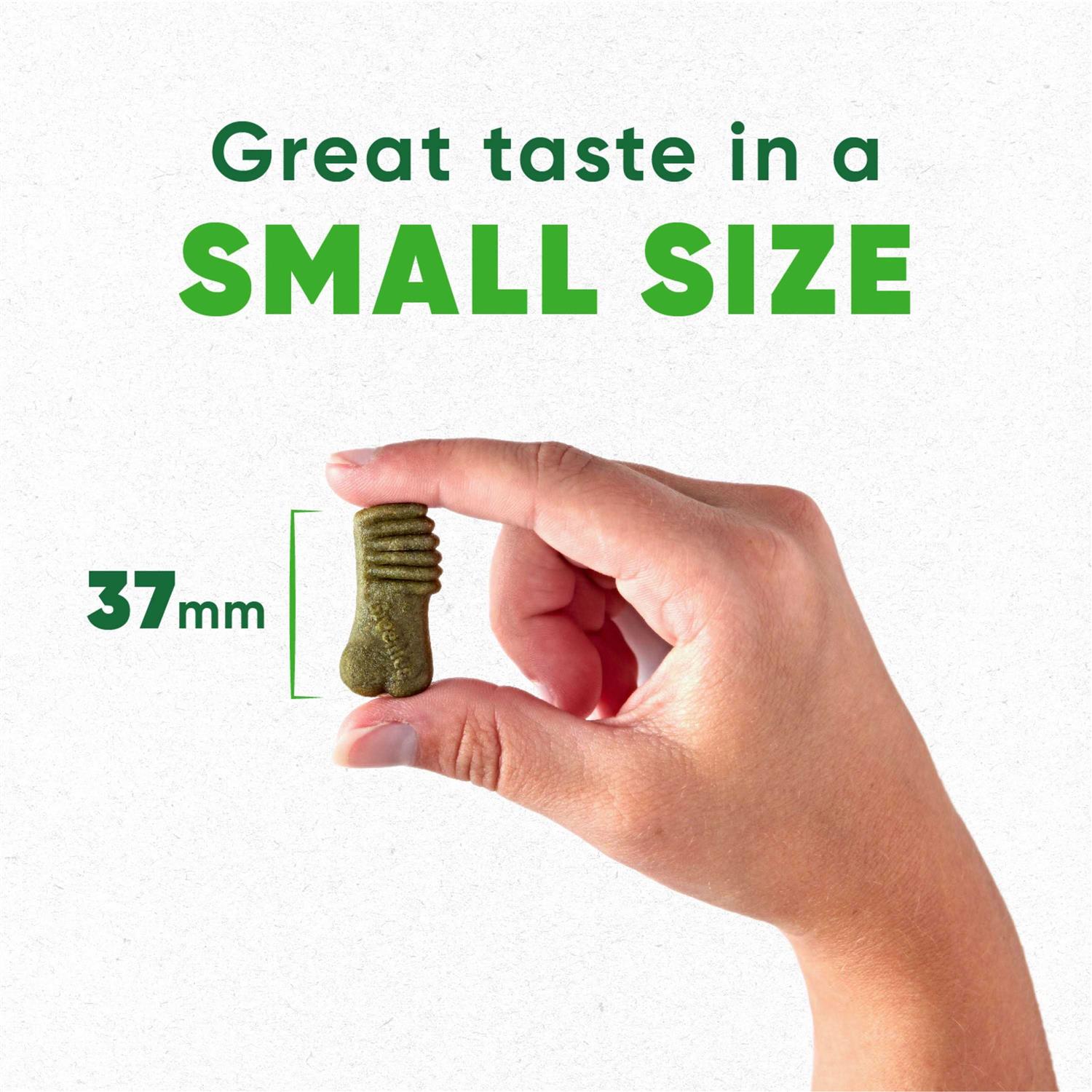 Greenies Anytime Bites Dog Treats