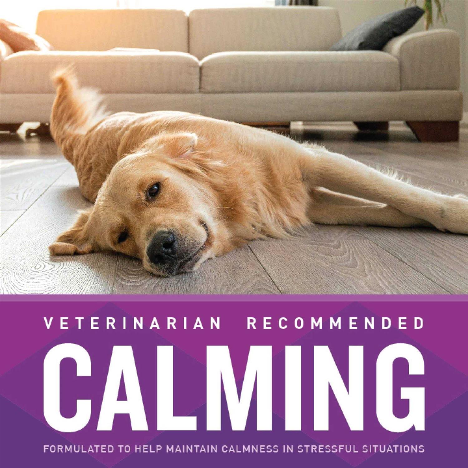 VetIQ Calming Soft Chews