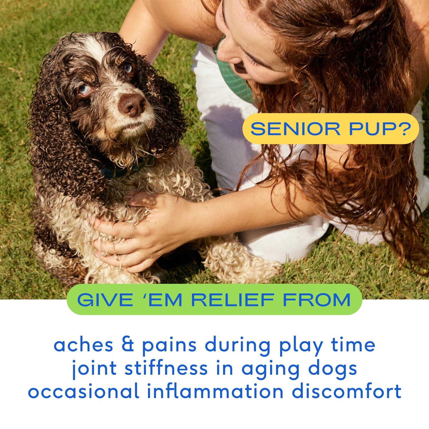 Native Pet Anti Inflammatory Supplement & Dog Joint Relief