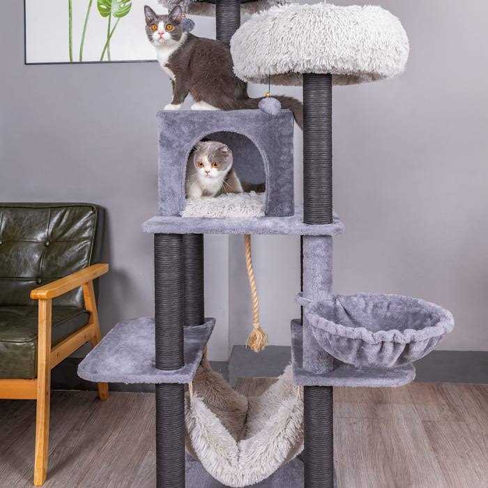Catry Cat Tree
