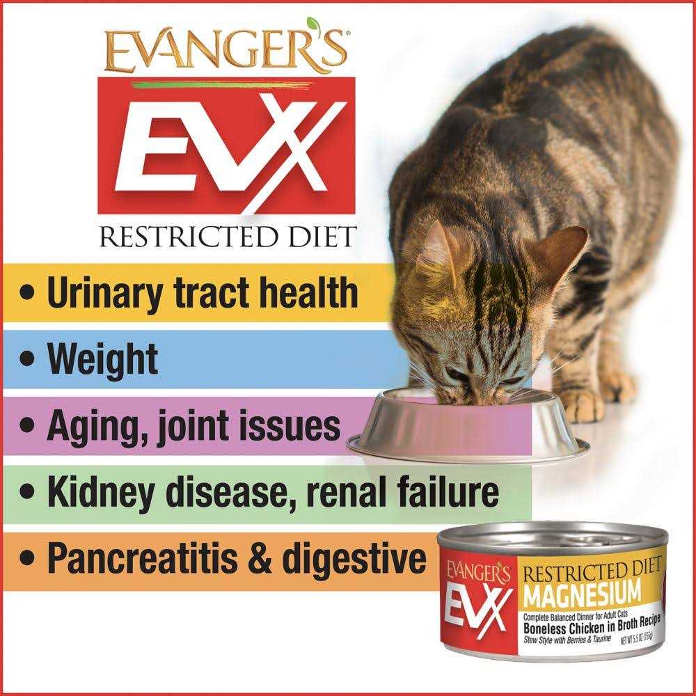 Evangers Beef Tips with Gravy Canned Cat Food