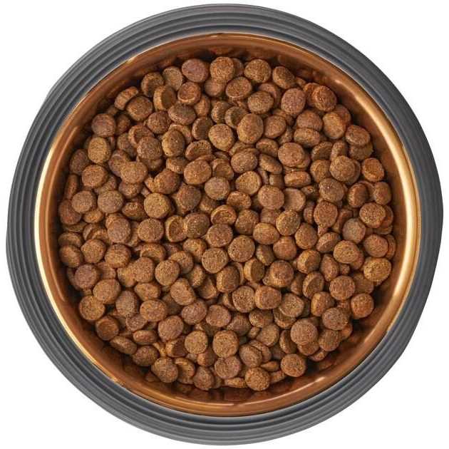 Frisco Matte Black Design Light Copper Stainless Steel Dog & Cat Bowl