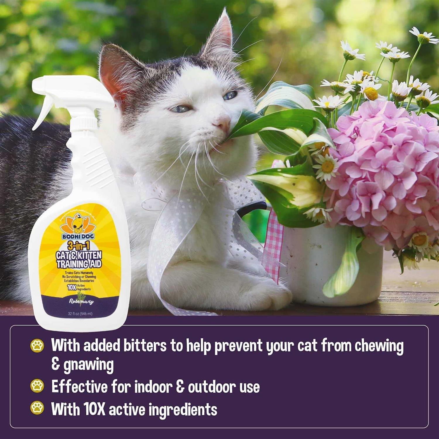 Bodhi Dog 3-in-1 Cat & Kitten Training Aid Cat Deterrent Spray for Indoor and Outdoor Use
