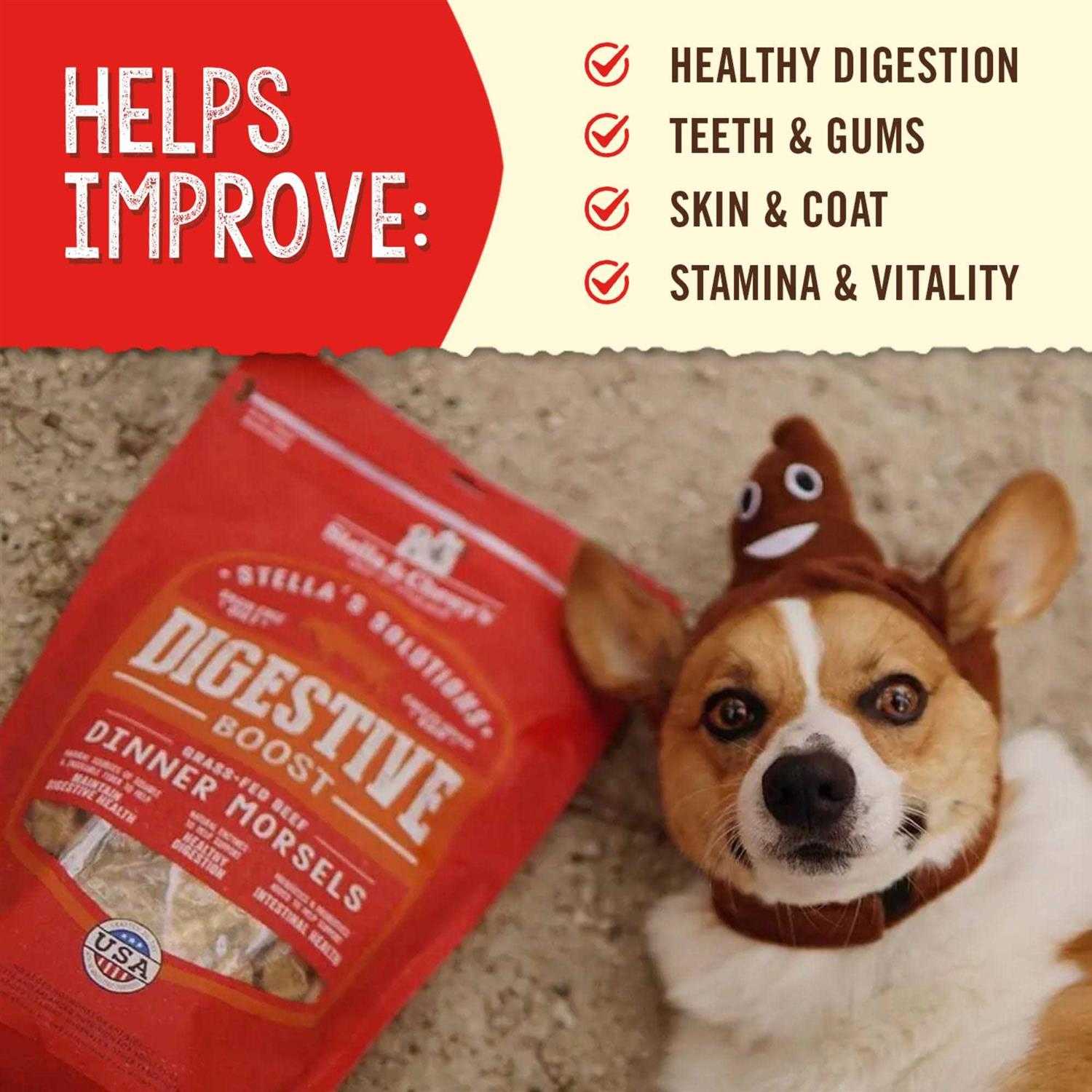 Stella & Chewy’s Solutions Digestive Boost Beef Freeze-Dried Dog Food