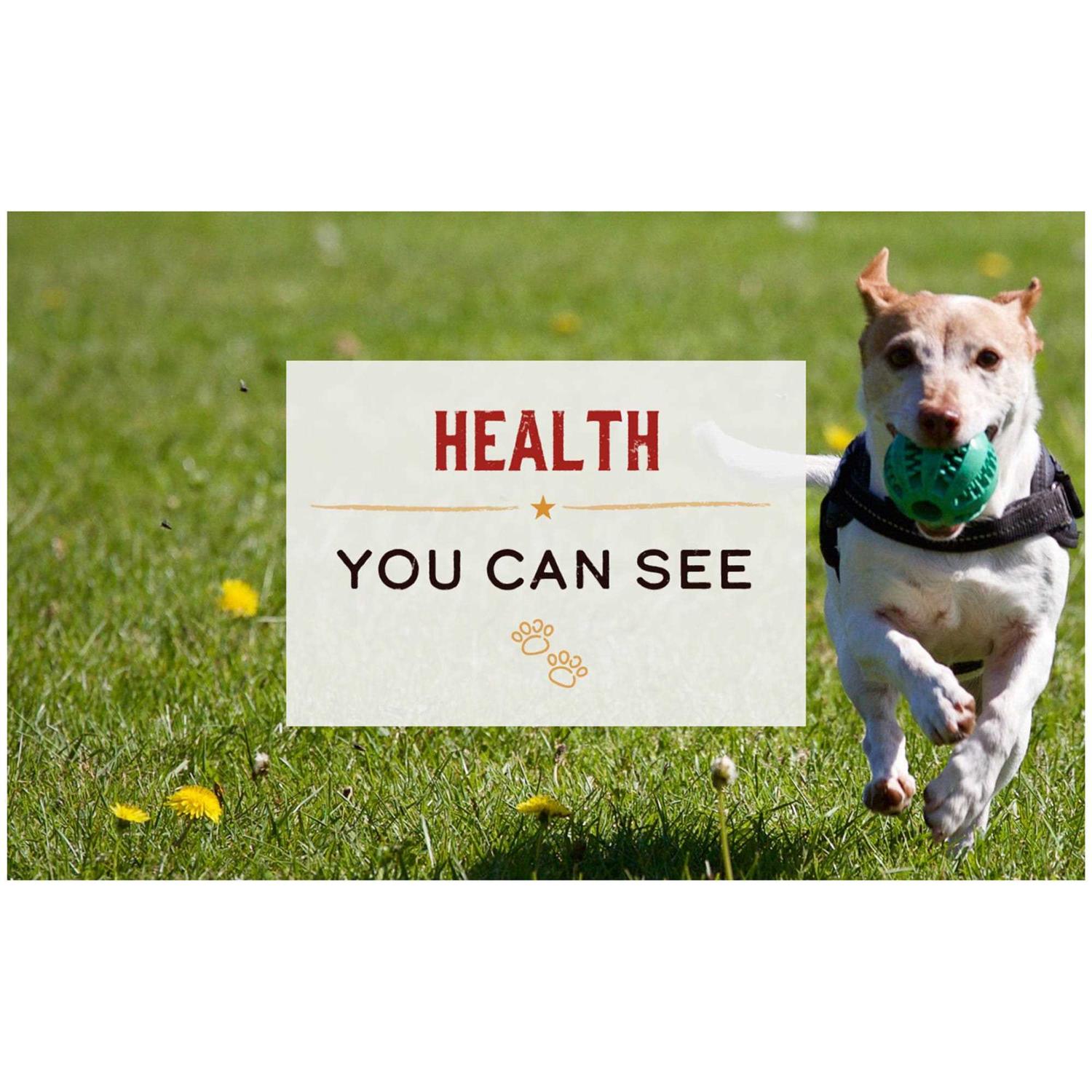 Merrick Limited Ingredient Diet Chicken & Brown Rice Wet Dog Food