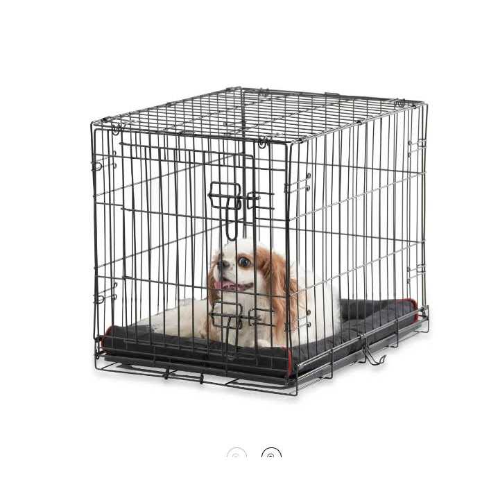 Vibrant Life Single-Door Folding Dog Crate with Divider
