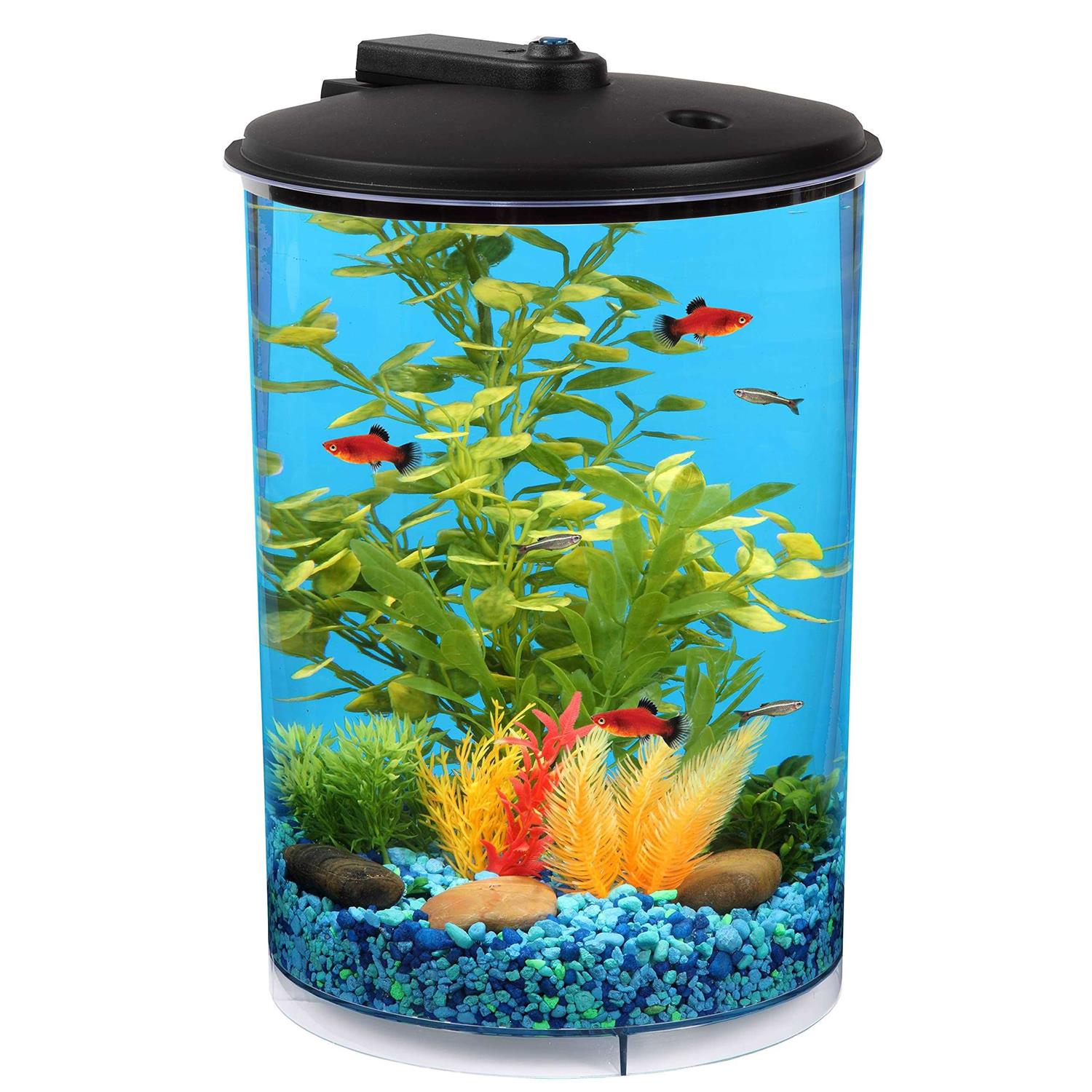 Koller Products 3-Gallon 360 Aquarium with LED Lighting and Power Filter
