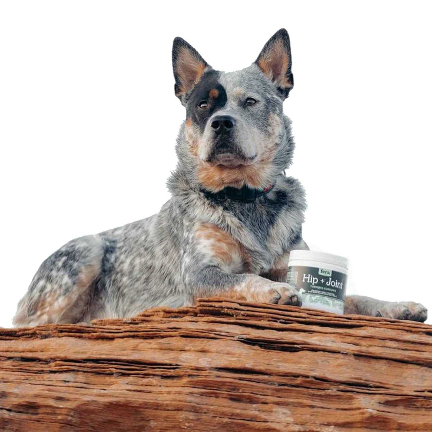 Fera Pet Organics Hip & Joint Soft Chew Dog Supplement