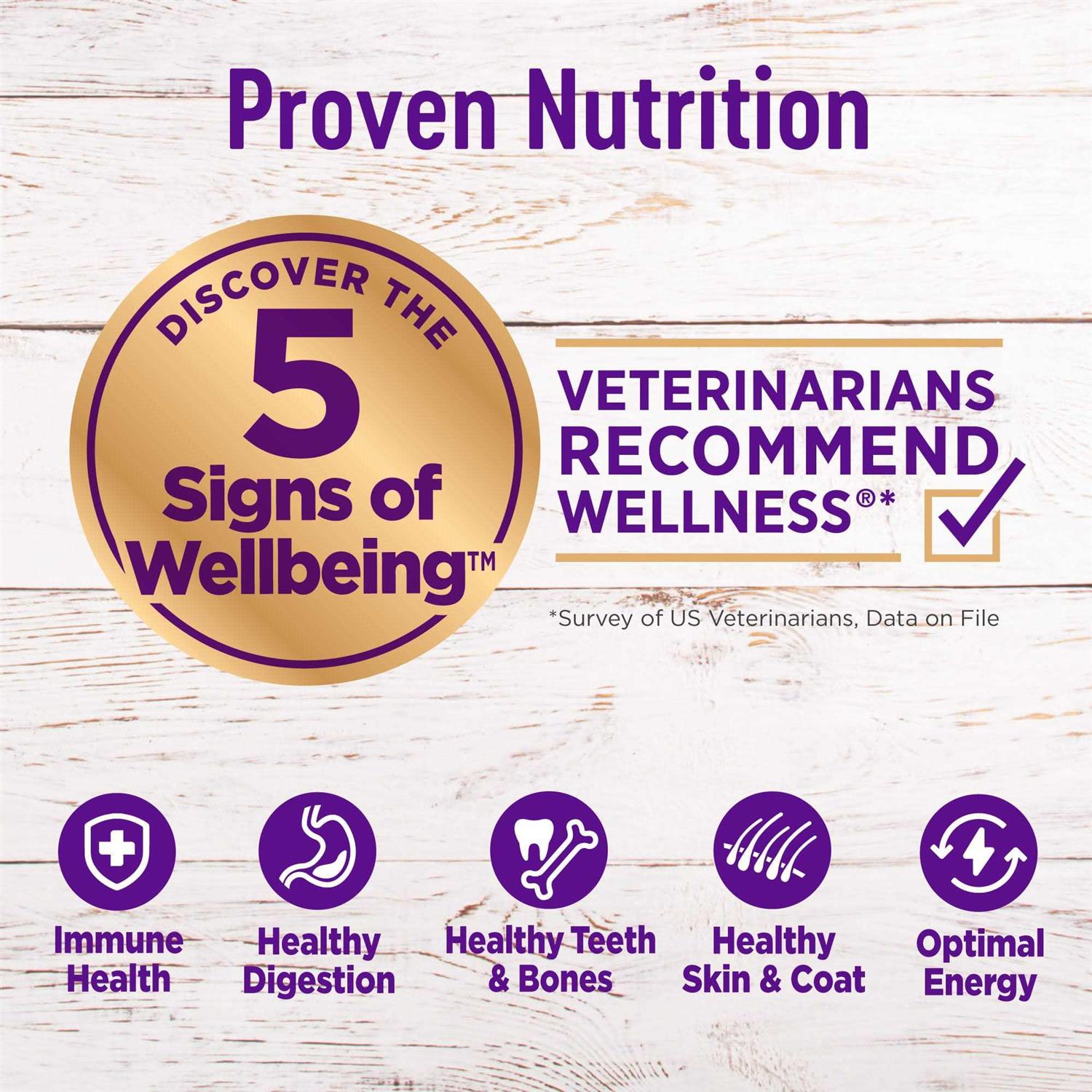 Wellness Complete Health Lamb & Barley Dry Dog Food