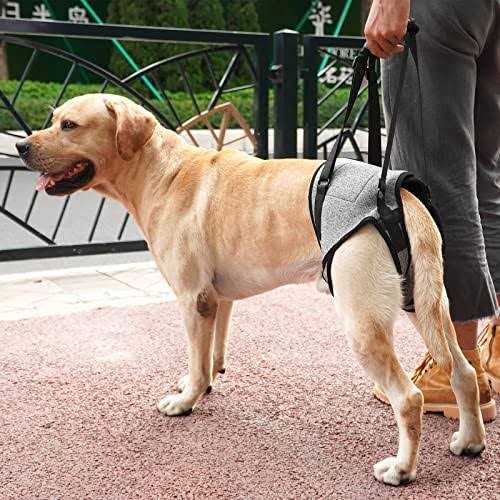 Dotoner Dog Sling for Large Dogs Hind Leg Support to Help Rehabilitate The Hind Limbs of Elderly Dogs with Weak Hind Legs Disabilities and Injuries