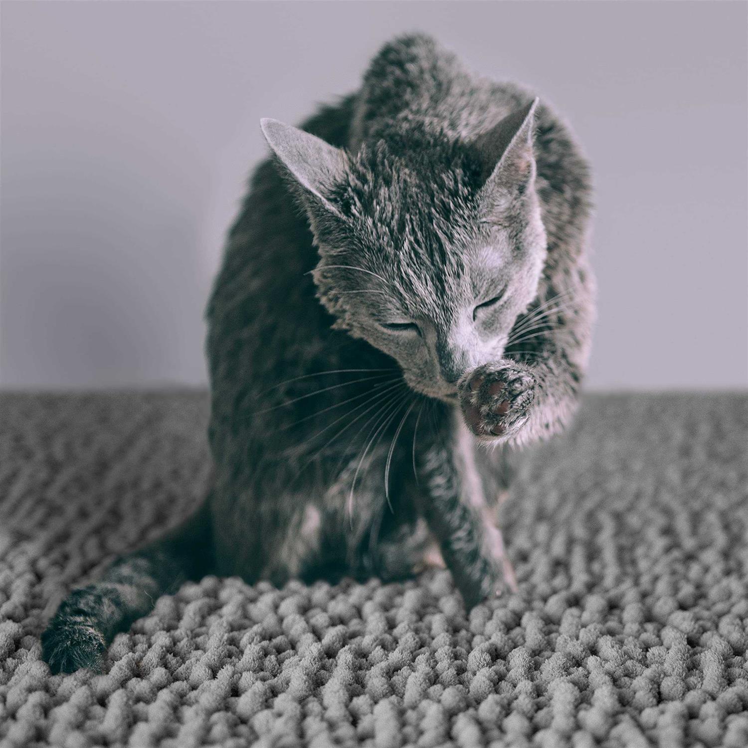 CatGuru Cat Litter Mat Medium Extra Large XXL Waterproof Litter Box Mat