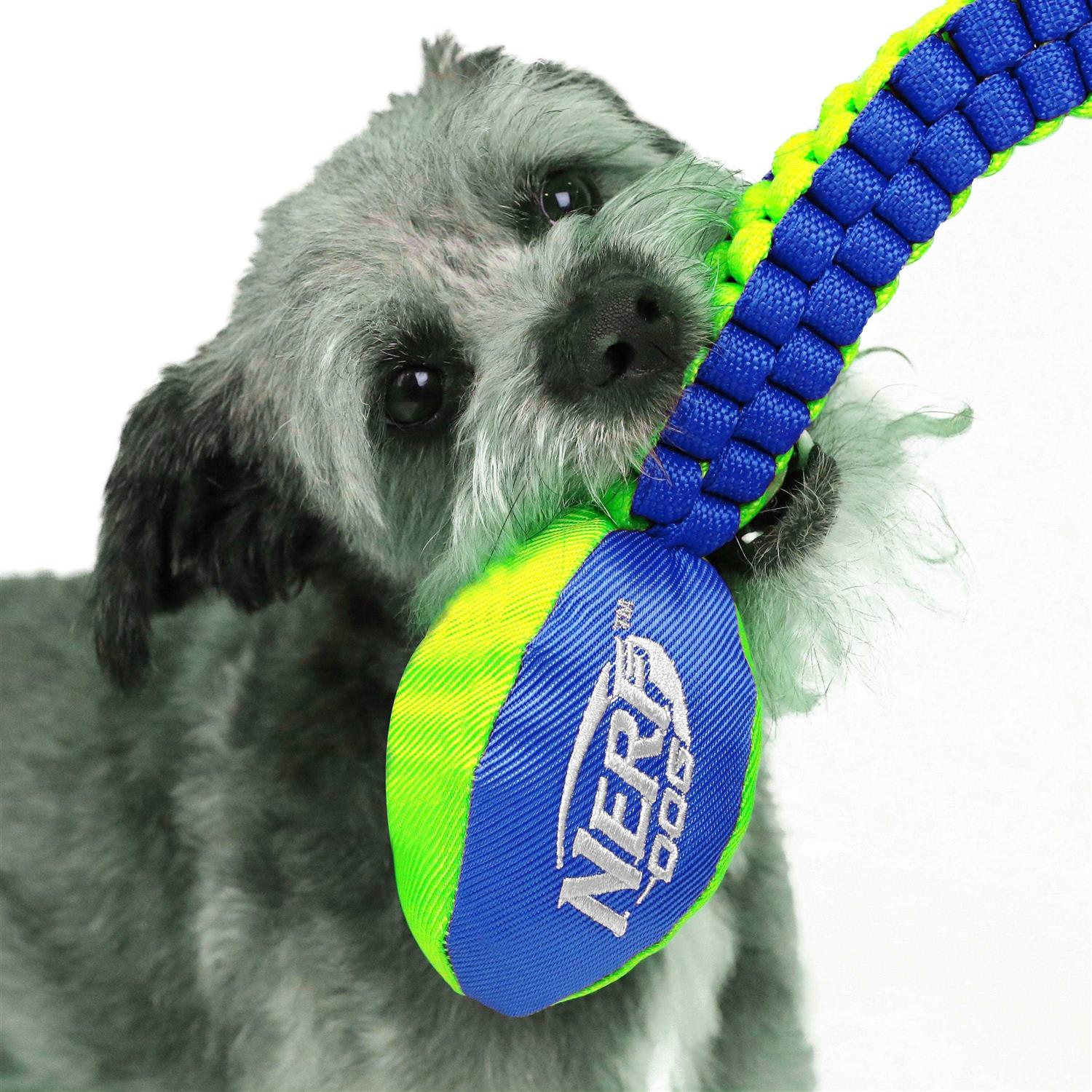 Nerf Vortex Chain Tug Dog Toy
