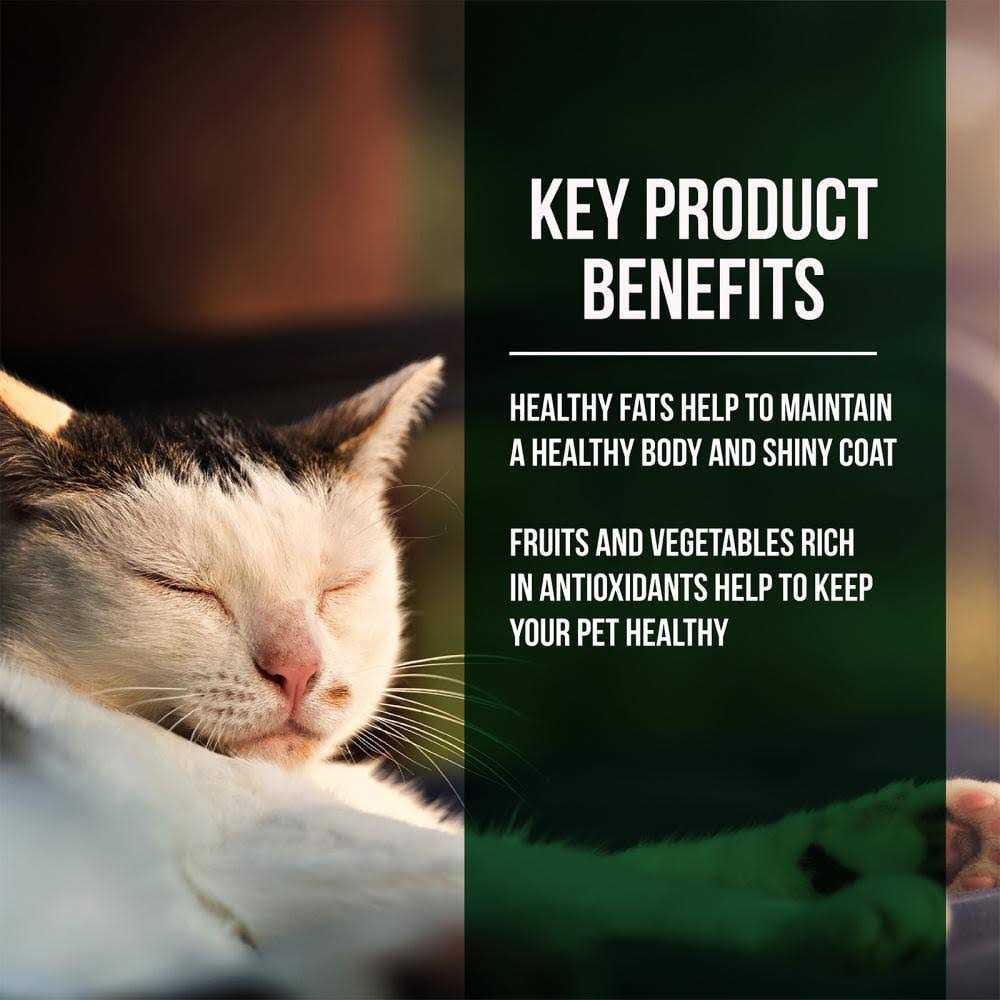 Fussie Cat Market Fresh Salmon Chicken Dry Cat Food