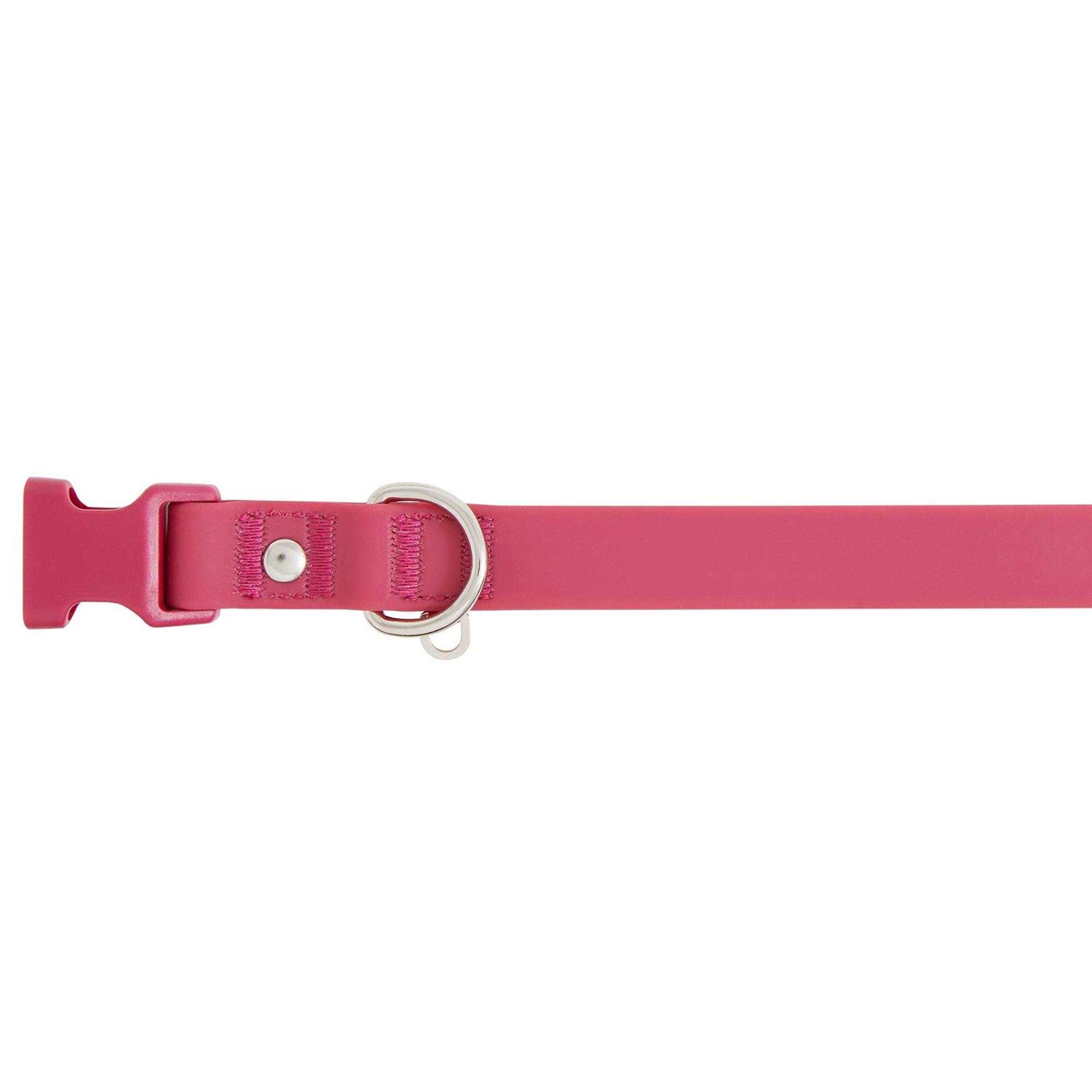Top Paw Core Fashion Dog Collar