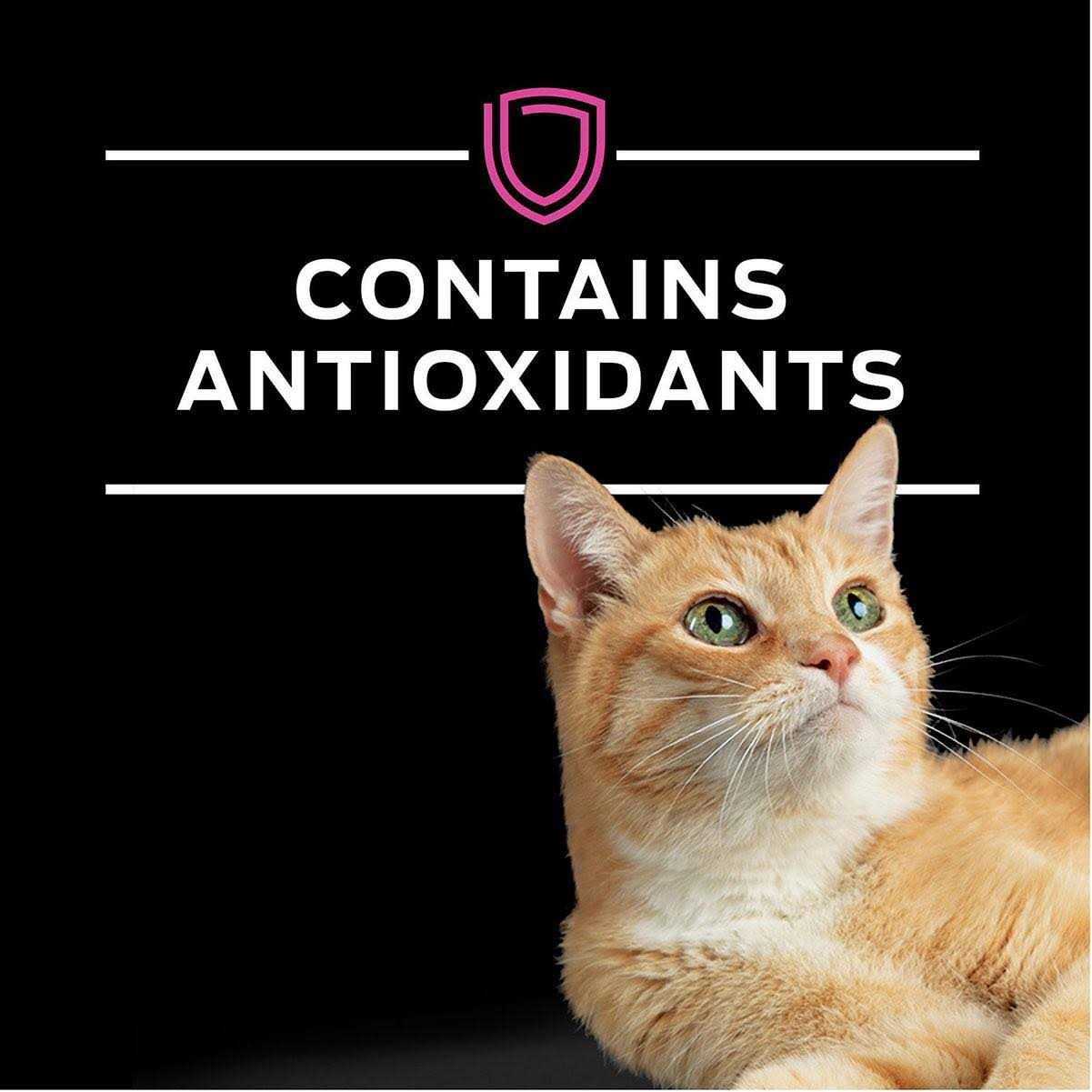 Purina Pro Plan Veterinary Diets UR Urinary St/Ox Savory Selects Feline Formula Recipe in Sauce Wet Cat Food