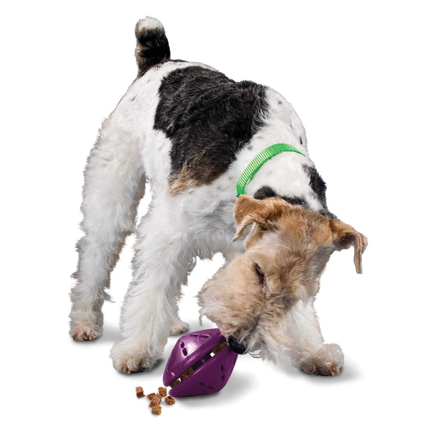 PetSafe Busy Buddy Twist n Treat Dog Toy