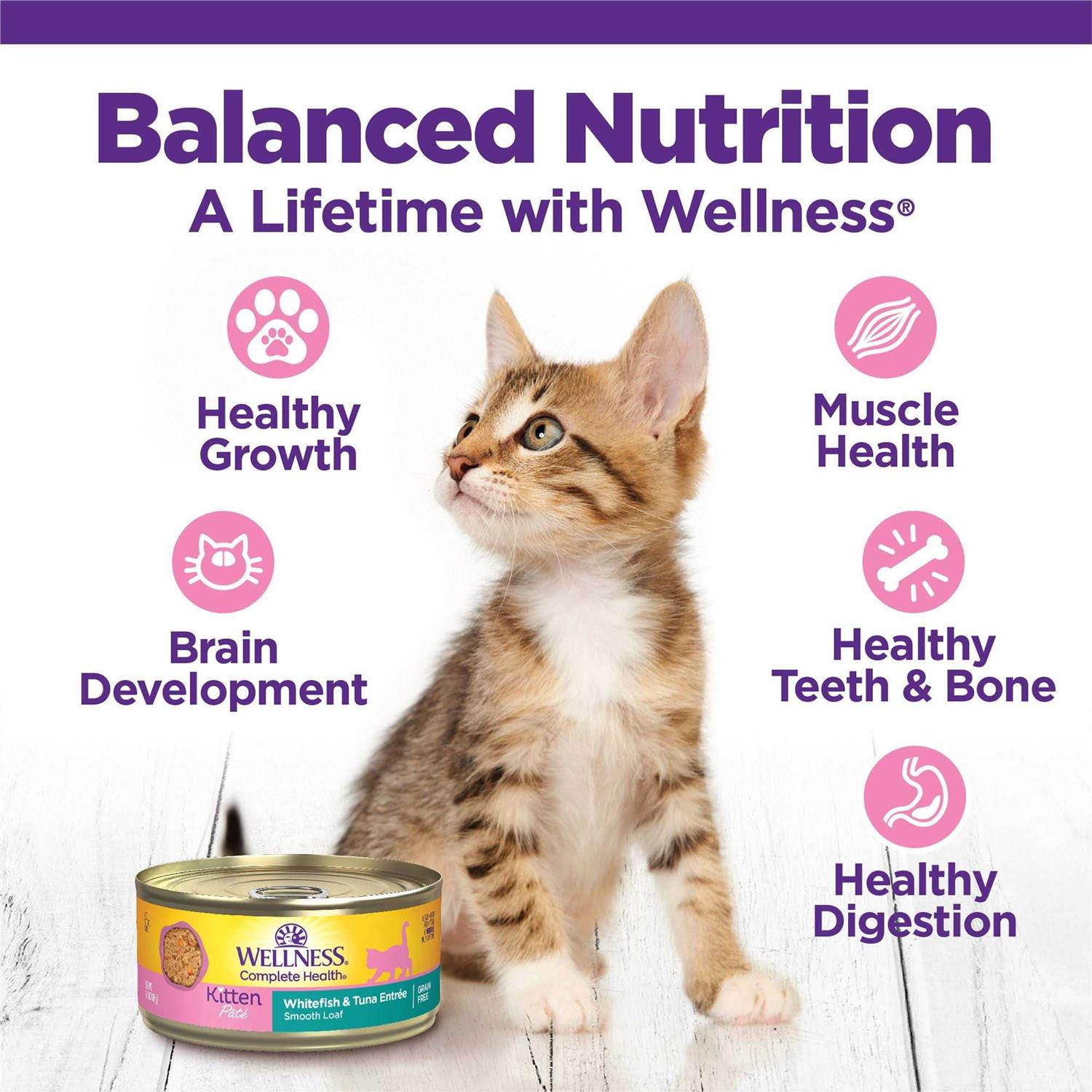 Wellness Complete Health Kitten Canned Wet Cat Food