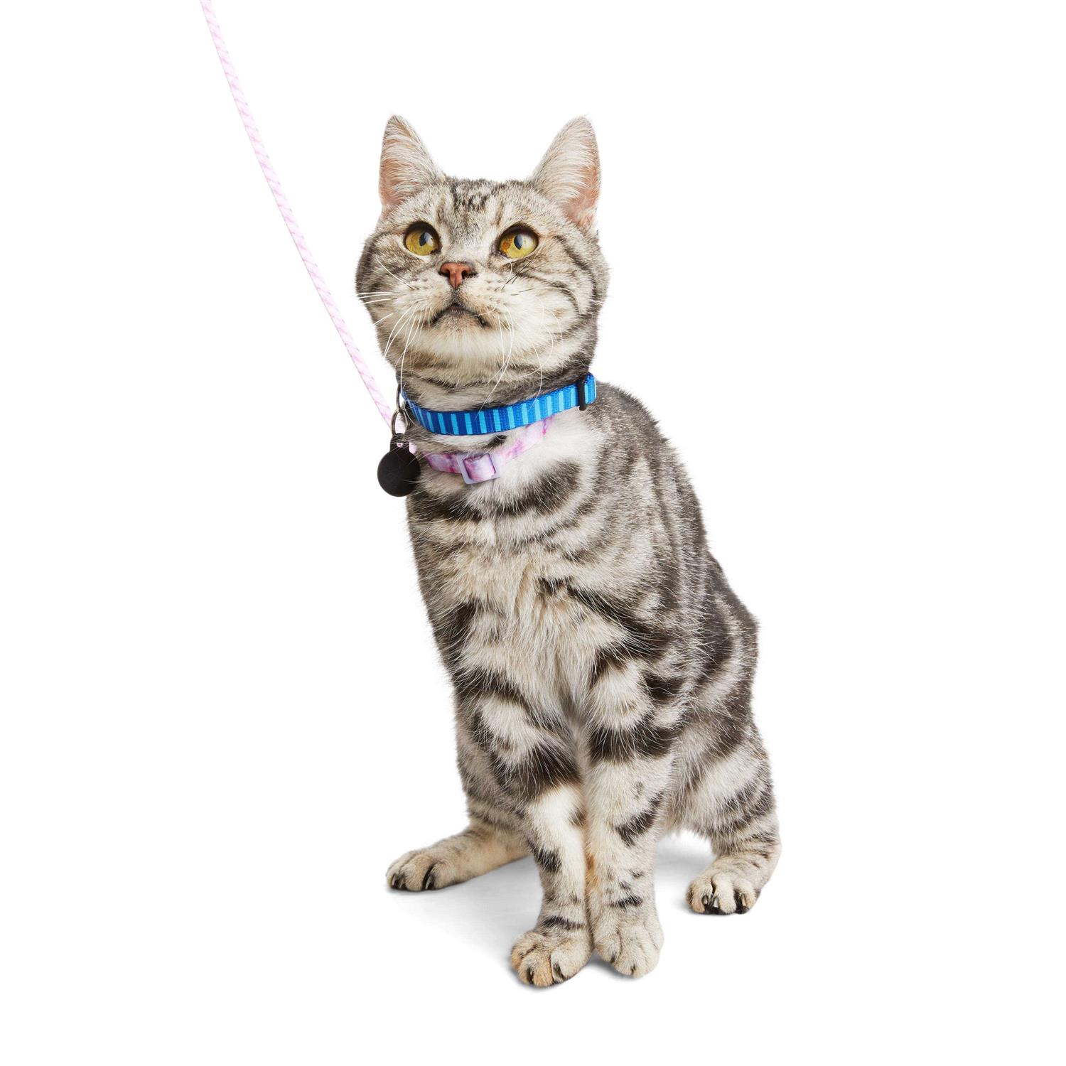YOULY Kitten Harness & Lead