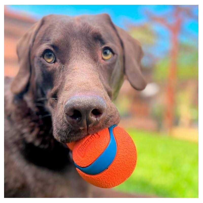 Chuckit! Ultra Tumbler Dog Toy