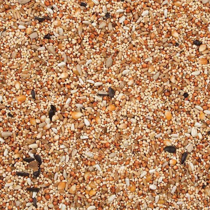 Wild Delight Dove Quail Food