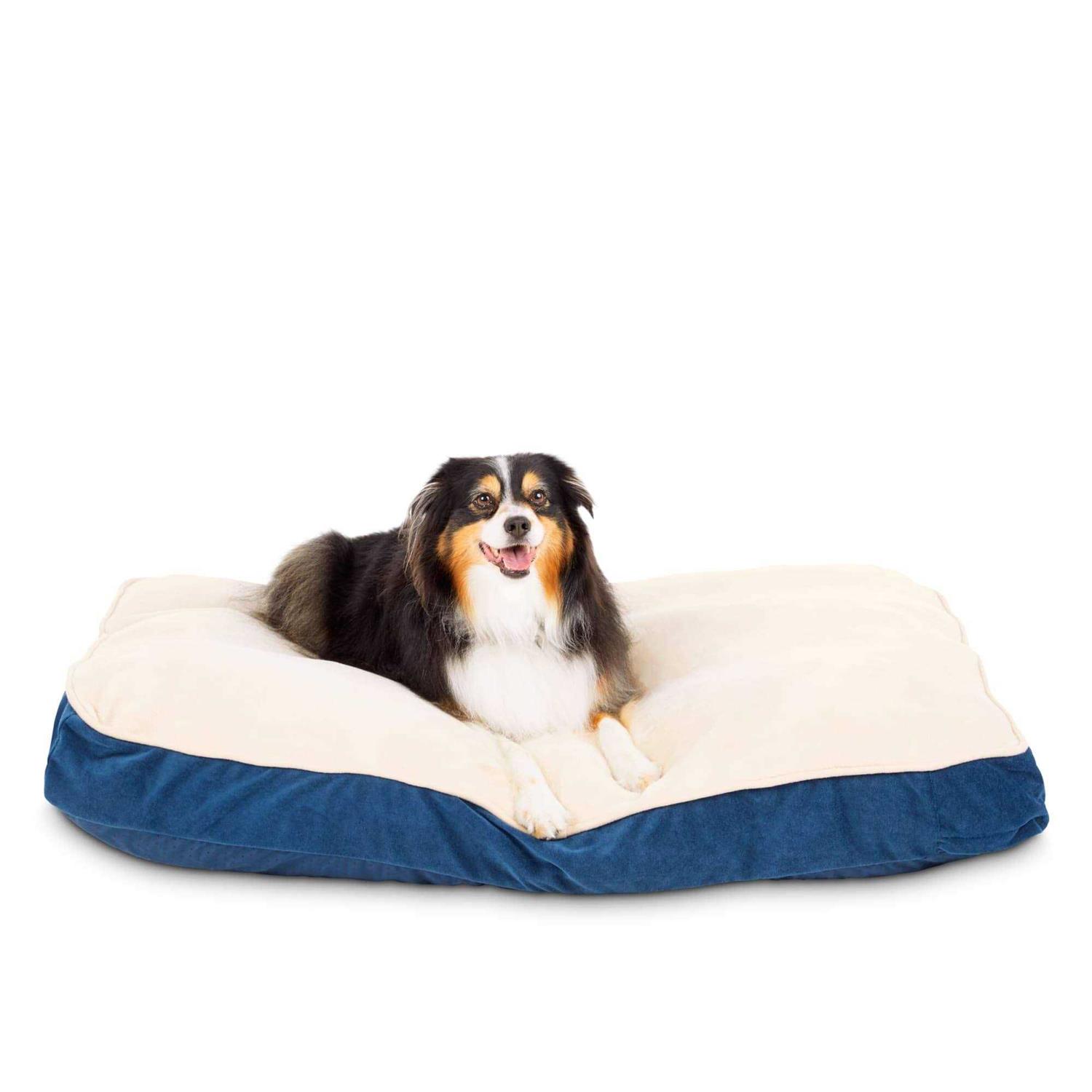 EveryYay Essentials Snooze Fest Lounger Dog Bed