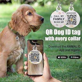 Bronzedog Rolled Leather Dog Collar with QR ID Dog Tag Round Personalized Collars for Small Medium Large Dogs Puppy Cat