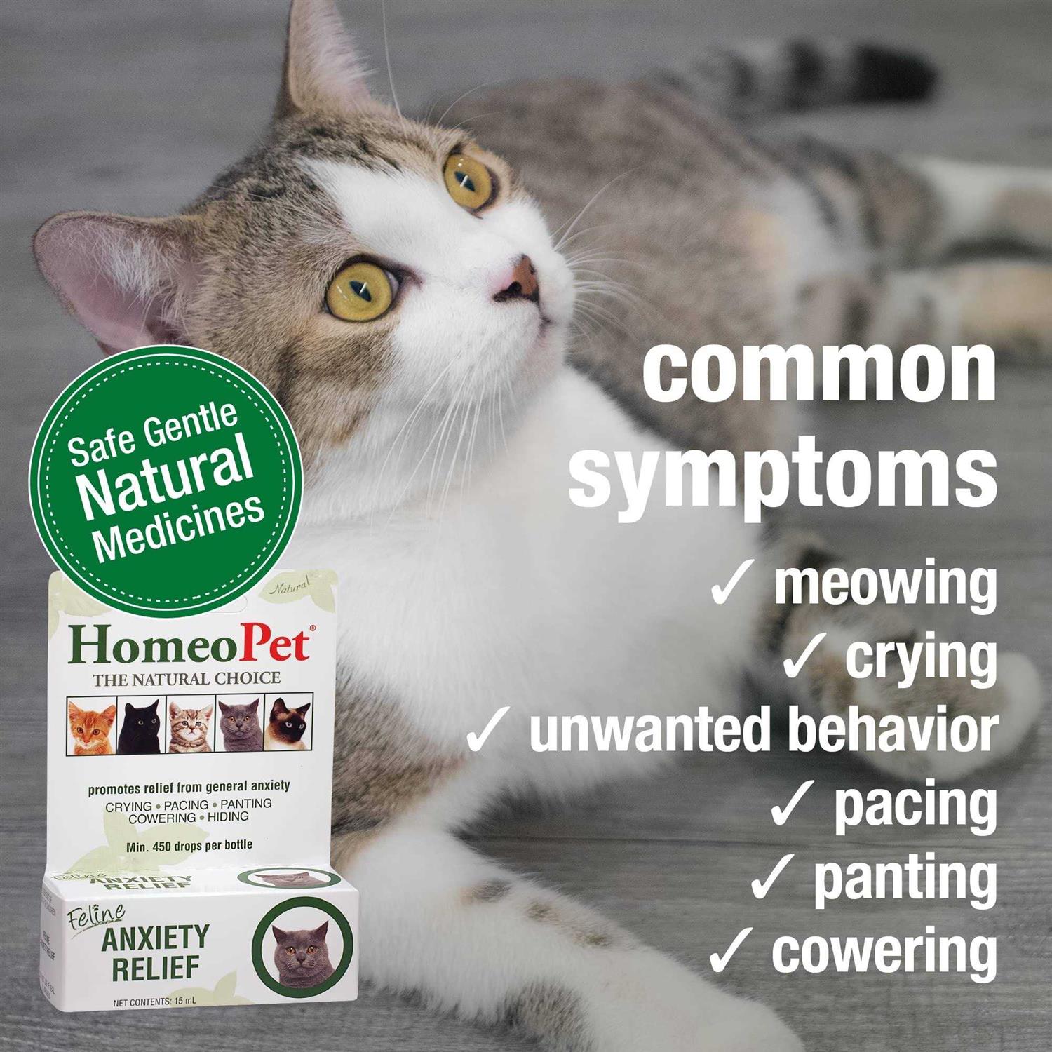 HomeoPet Feline Anxiety Relief