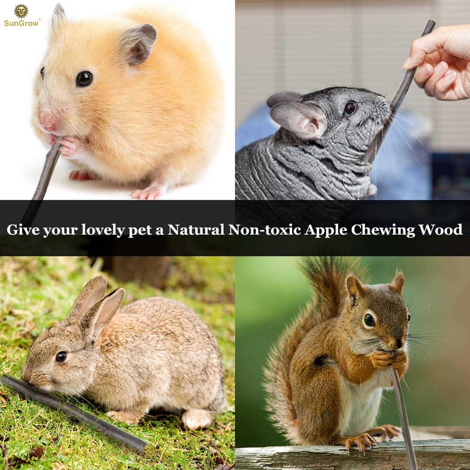 SunGrow Apple Sticks 200g Wood Chew Sticks for Rabbits Chinchillas