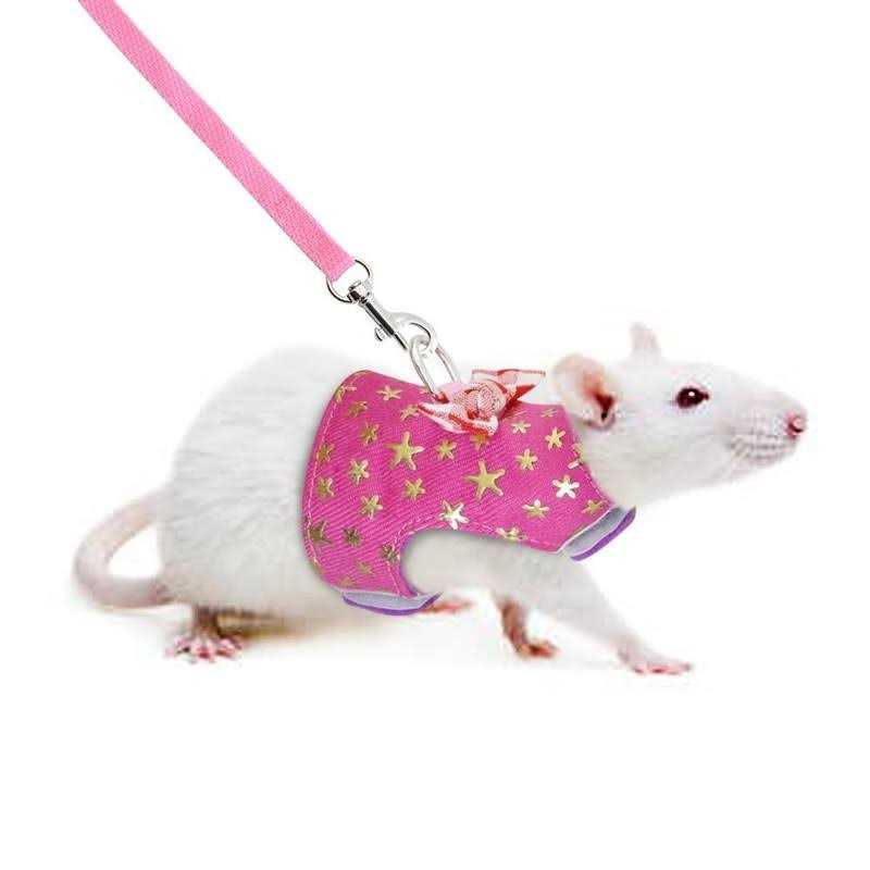 Stock Show Small Pet Outdoor Walking Harness Vest and Leash Set with Cute Bowknot Decor Chest Strap Harness for Rat Ferret Hamster Squirrel Clothes