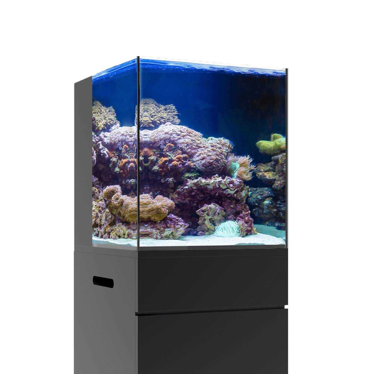 JBJ Nano Rimless AIO Aquarium