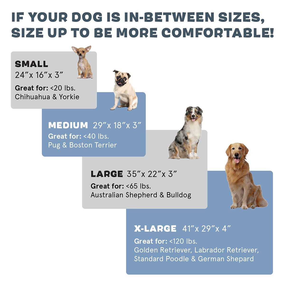 Barkbox Memory Foam Platform Dog Bed Plush Mattress for Orthopedic Joint Relief