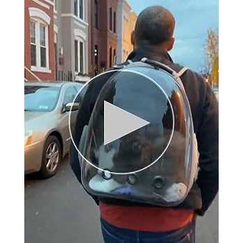 Lollimeow Pet Carrier Backpack, Bubble Backpack Carrier, Cats and Puppies,Airline-Approved
