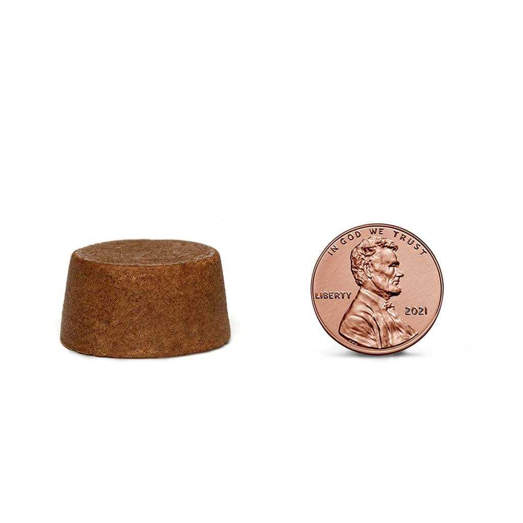 Bravecto Chew for Dogs