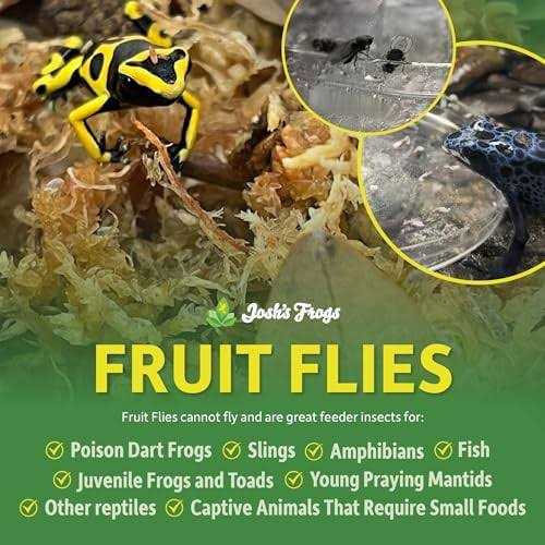 Josh’s Frogs Producing Wingless Drosophila Melanogaster Fruit Fly Culture