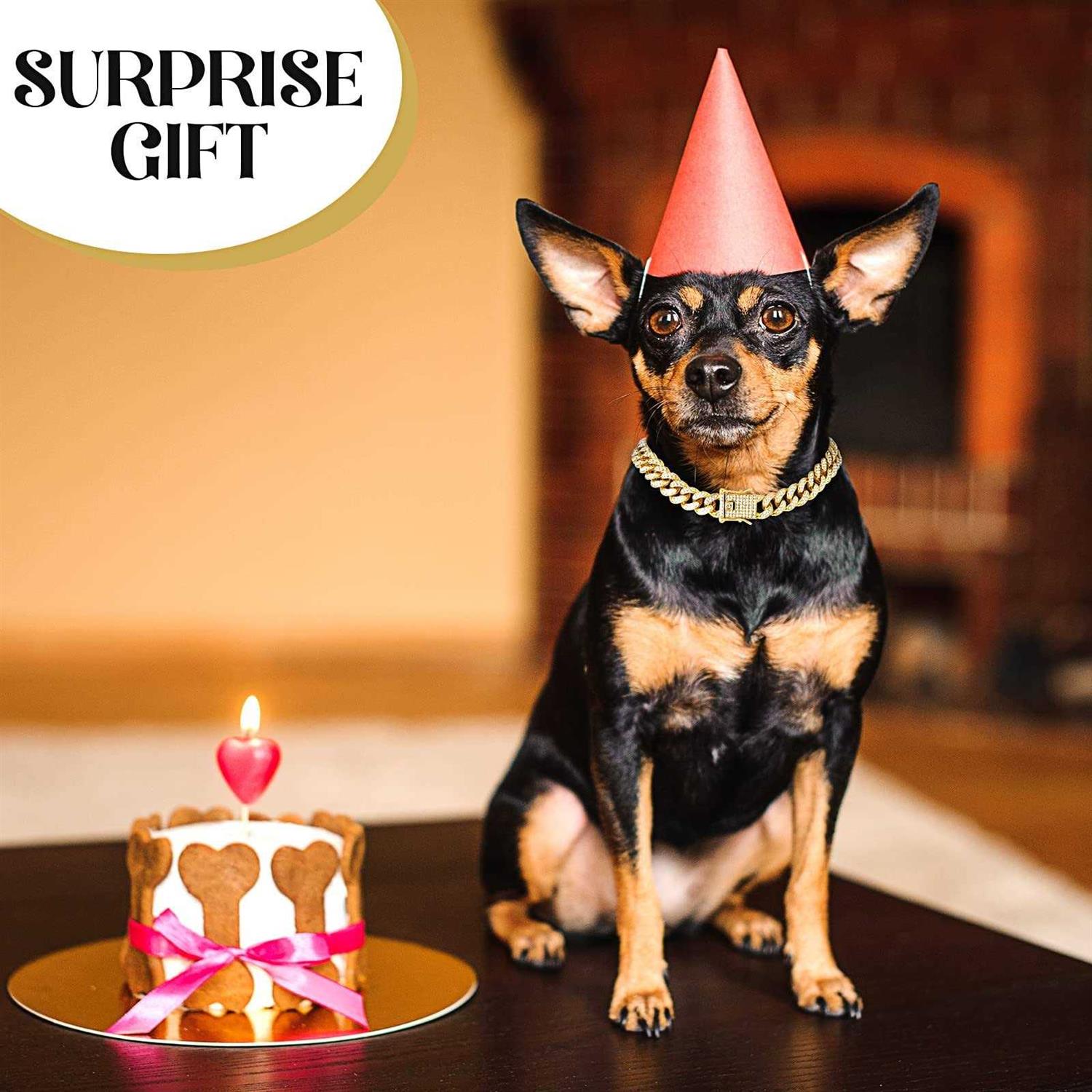 Tallew Dog Chain Diamond cuban Collar Walking Metal Chain Collar with Design Secure Buckle