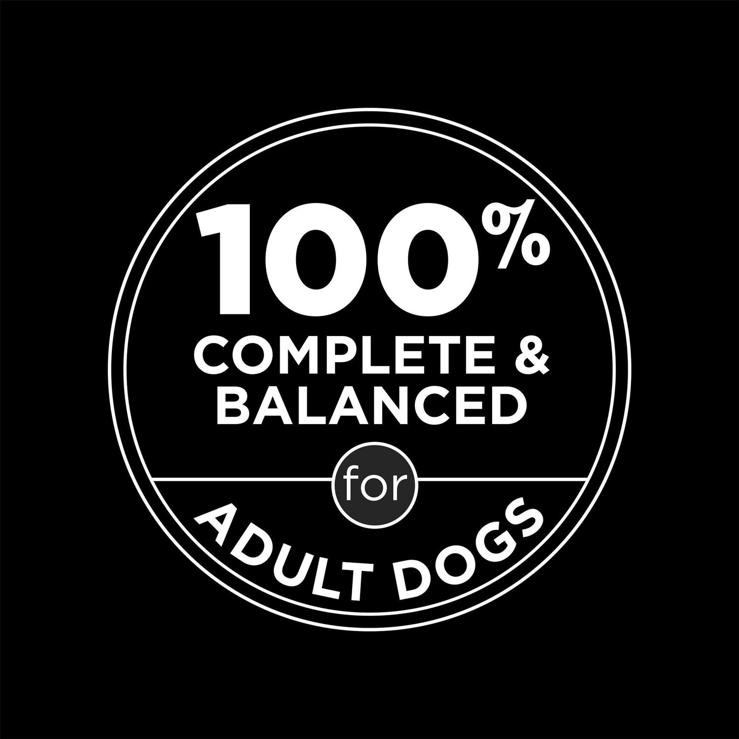 Moist & Meaty High Protein Chicken & Beef Flavor Dry Dog Food