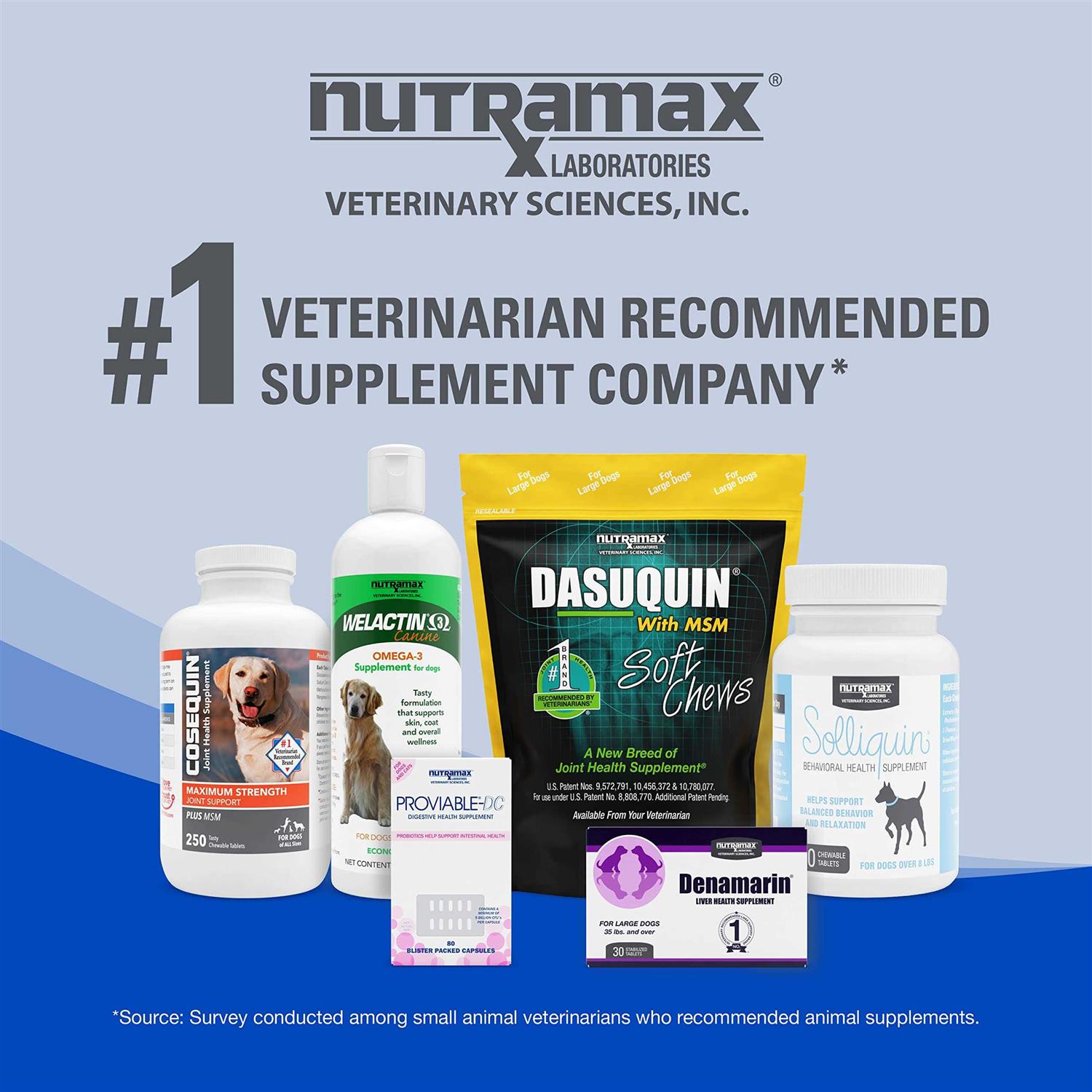 Nutramax Cobalequin B12 Supplement Dogs