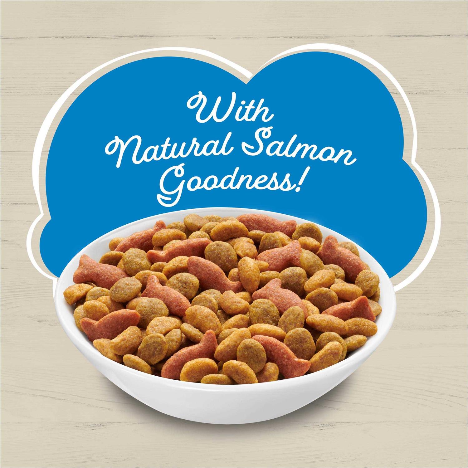 Friskies Ocean Favorites Dry Cat Food With Natural Salmon