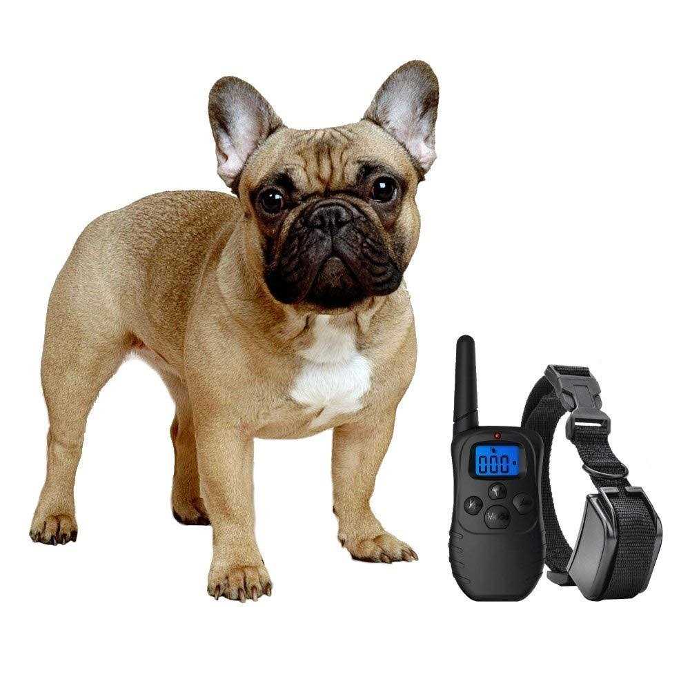 eXuby Shock Collar for Small Dogs with Remote