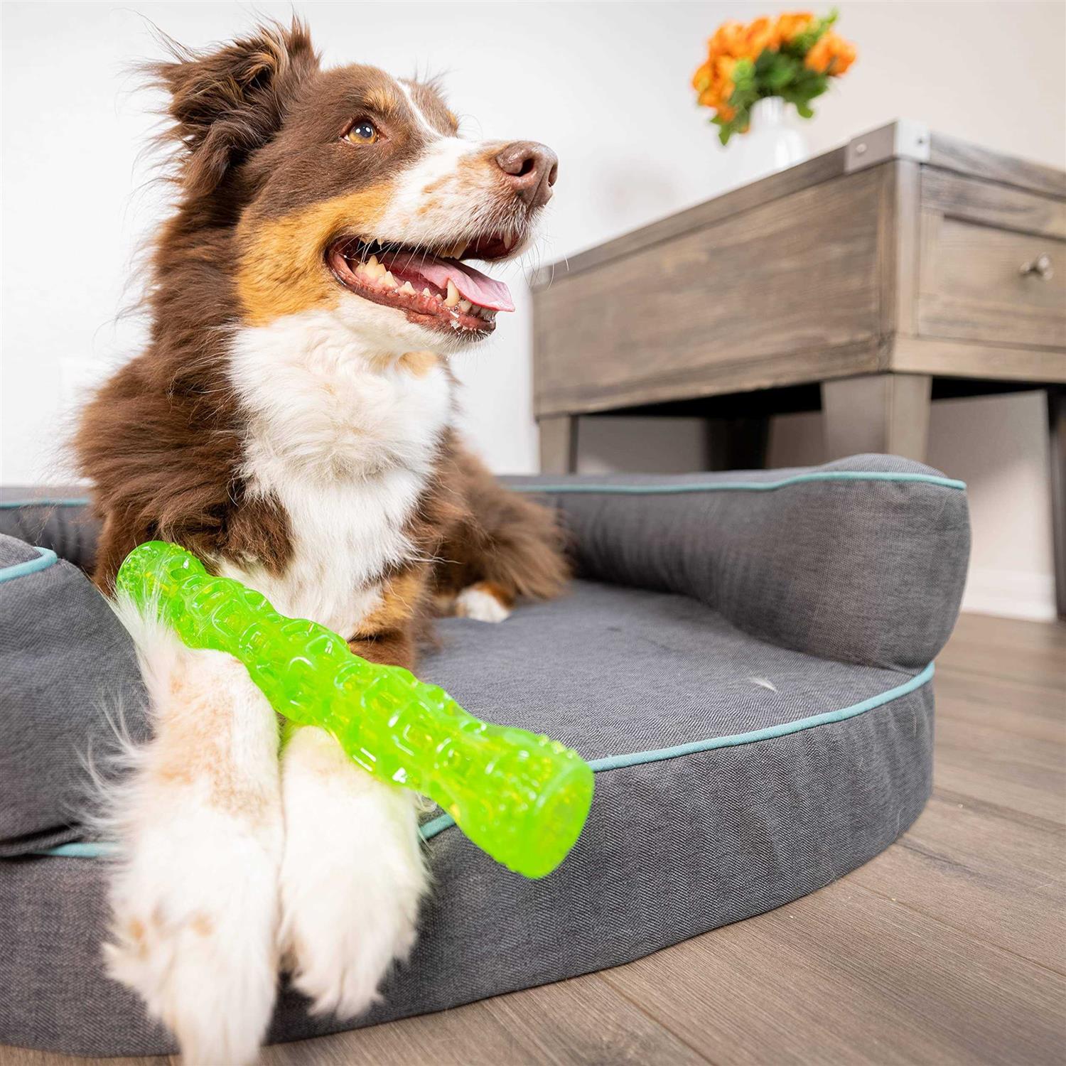 Hyper Pet Dura-Squeaks Dog Toy Stick