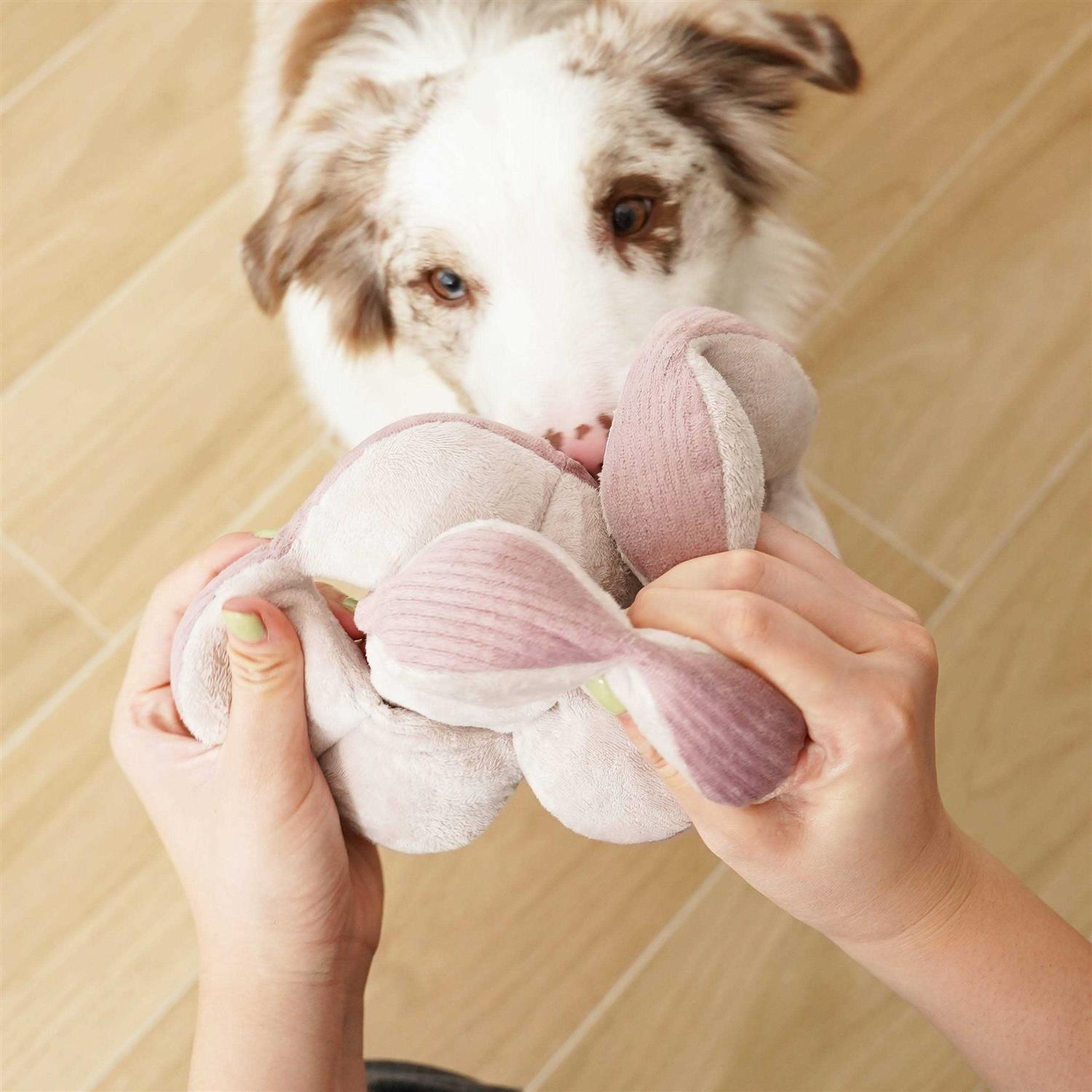 Monti Enrichment Dog Toy