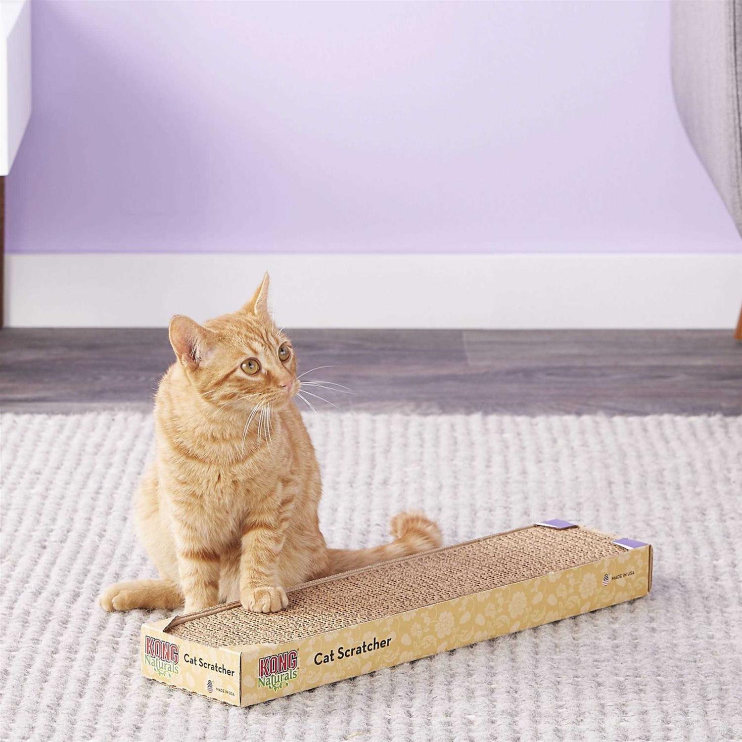 KONG Scratcher Refill for Incline-Double Scratcher