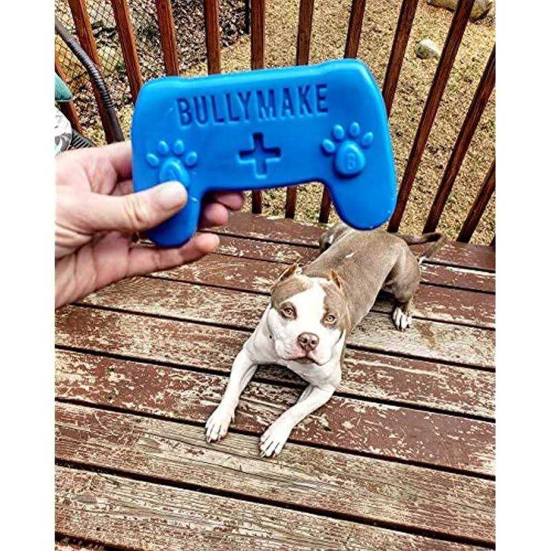 BULLYMAKE Controller Dog Toy