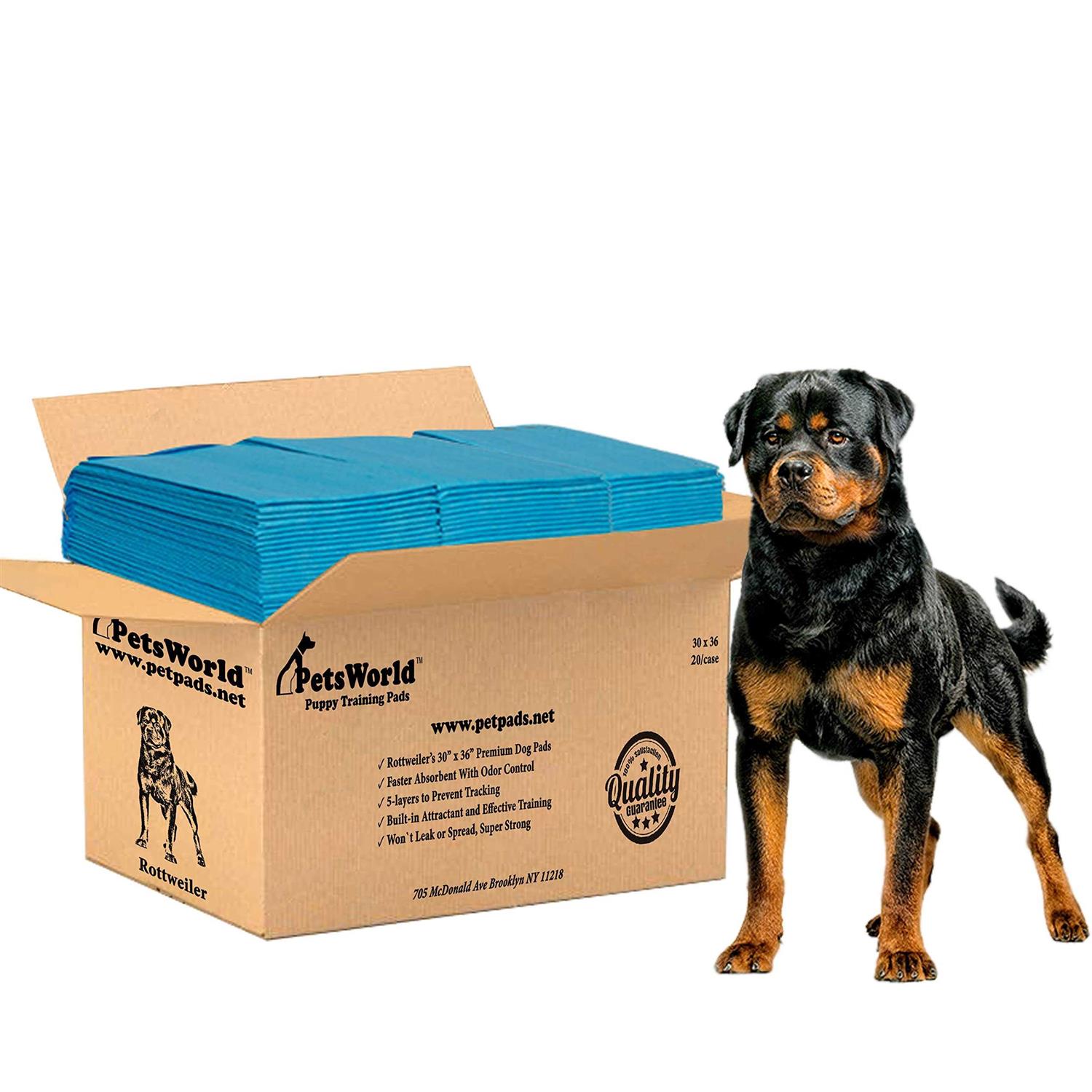 Petsworld Extra Large Potty Pads for Dogs newsruruana