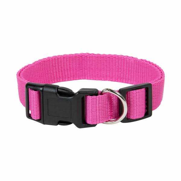 Pet Champion Collar